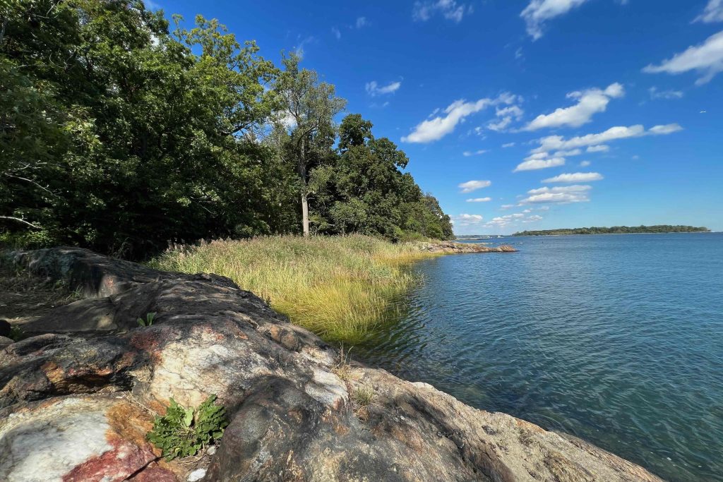image of orchard beach depicting large rock formations with sea grass, water, trees, and island with a partially cloudy sky