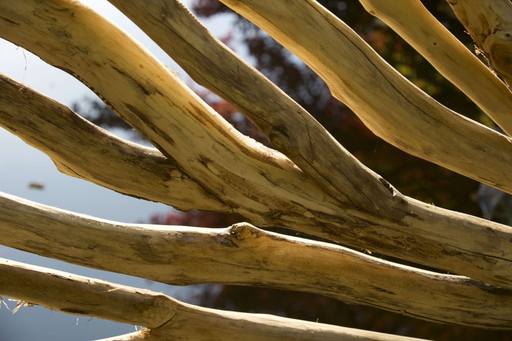 wooden fence mad of fallen branches in Central Park