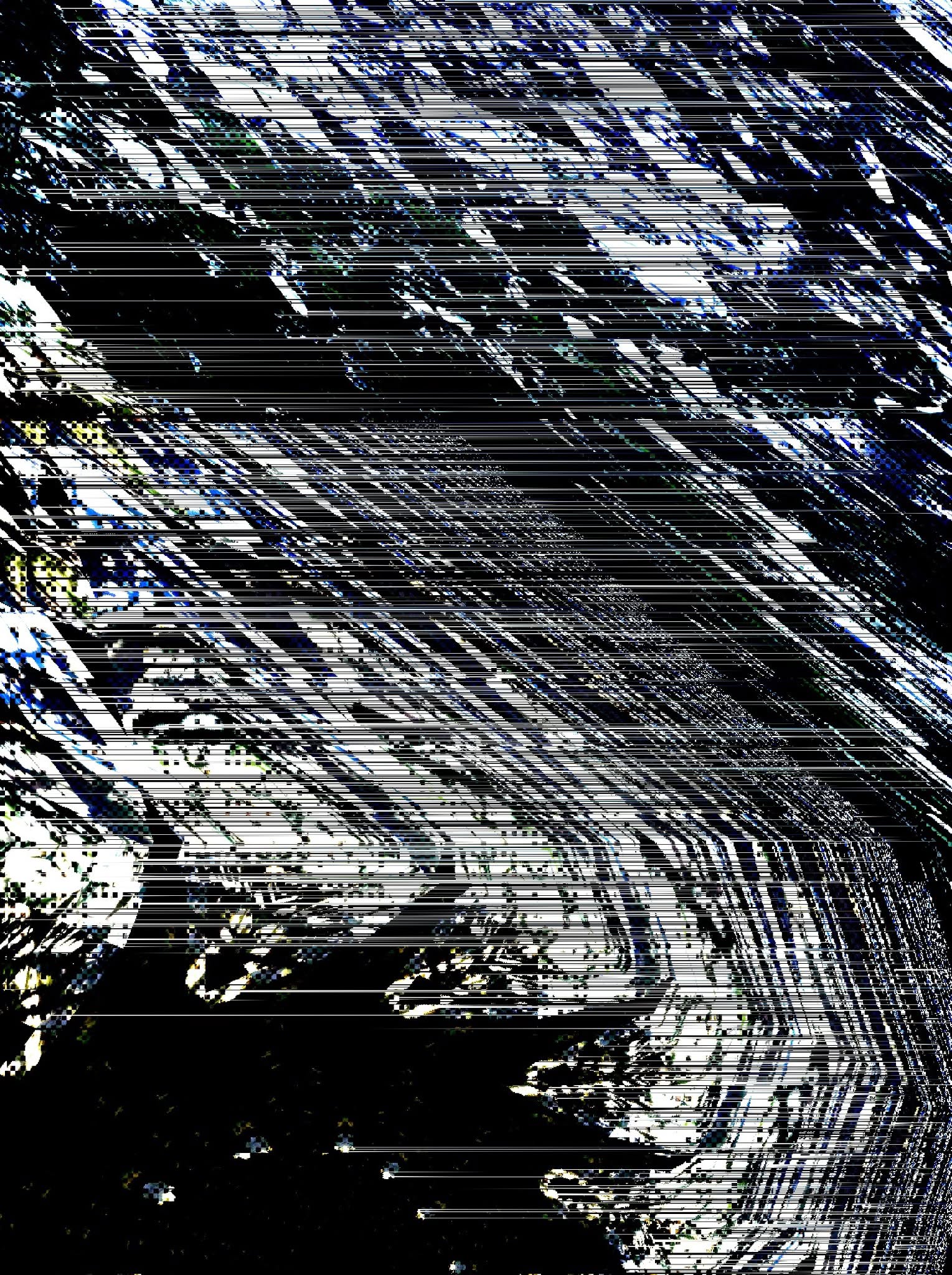digitally distorted image that looks like waves and horizontal lines