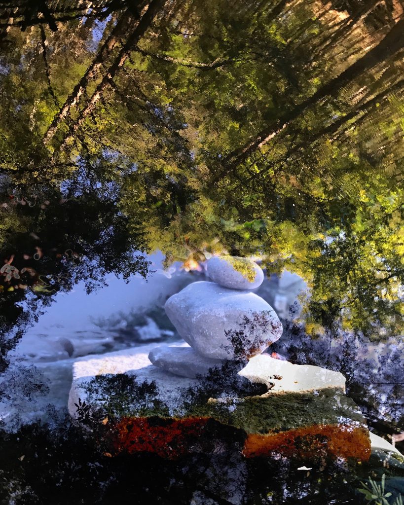 reflective double image of a forest with a meditative pile of rocks