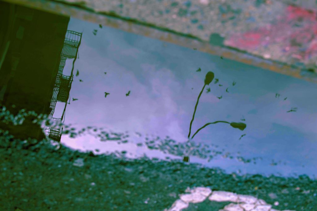 reflection of fire escapes ladders birds and lamppost in a puddle of water in NYC